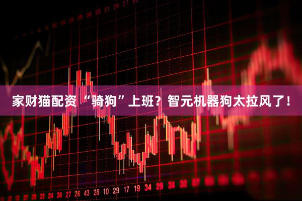 家财猫配资 “骑狗”上班？智元机器狗太拉风了！