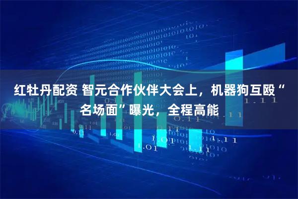 红牡丹配资 智元合作伙伴大会上，机器狗互殴“名场面”曝光，全程高能