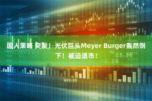 国人策略 突发！光伏巨头Meyer Burger轰然倒下！被迫退市！