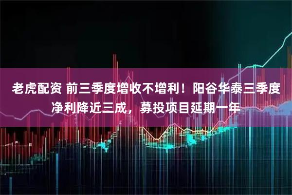 老虎配资 前三季度增收不增利！阳谷华泰三季度净利降近三成，募投项目延期一年