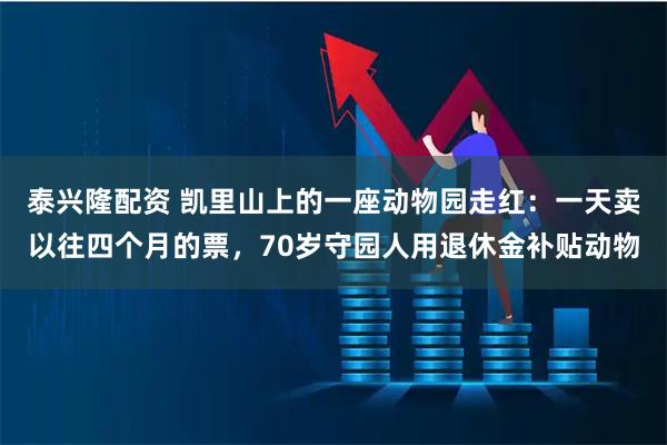 泰兴隆配资 凯里山上的一座动物园走红：一天卖以往四个月的票，70岁守园人用退休金补贴动物