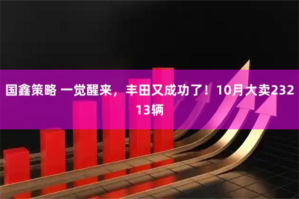 国鑫策略 一觉醒来，丰田又成功了！10月大卖23213辆
